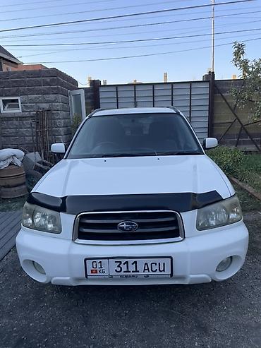 форестер 2005: Subaru Forester: 2004 г., 2 л, Автомат, Бензин, Кроссовер — 1