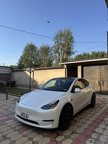 бугатти широн цена: Tesla Model Y: 2021 г., Автомат, Электромобиль, Кроссовер — 2