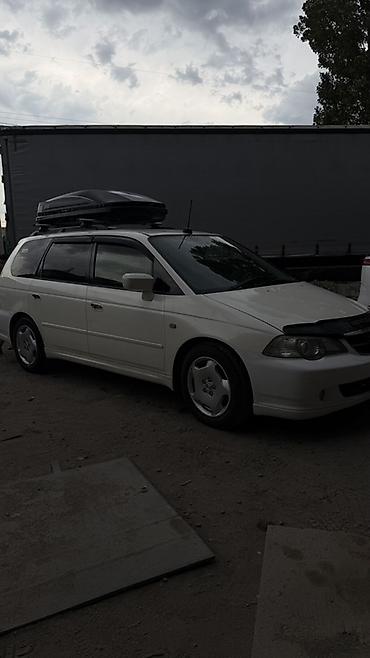 subaru outback 2003: Honda Odyssey: 2003 г., 3 л, Автомат, Бензин, Минивэн — 1