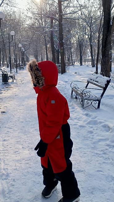 nerry kara: Комплект, цвет - Красный, Б/у — 1