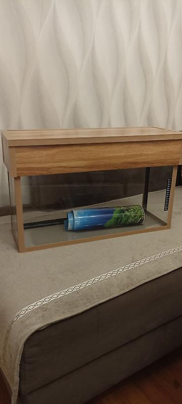 akvarium 90x40x50: Akvarium 60*20*30h,iki qapagı var,fon var.sex akvariumu. akvarium boş — 2
