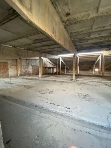 Продажа участков: 100 соток, Красная книга — 5