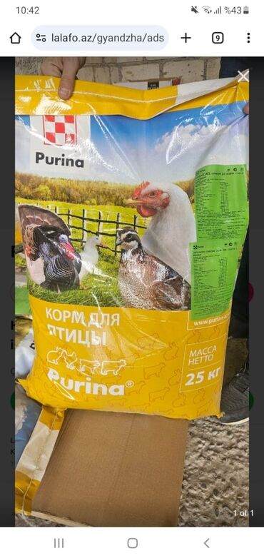 Товары для с/х животных: Bildircin ve hinduska yemlleri 
rusiya istehsali. purina