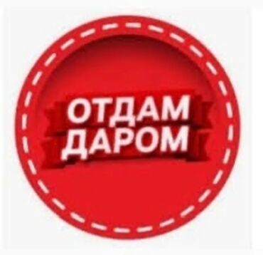 Другая женская одежда: Отдам даром большой пакет вещей женских размер 44 48