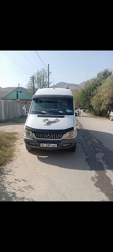 w210 e320: Mercedes-Benz Sprinter — пассажирский микроавтобус (длинная база — 2