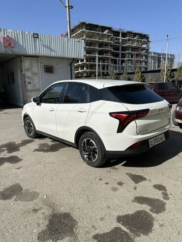 Jetour: Jetour : 2022 г., Электромобиль, Кроссовер — 7