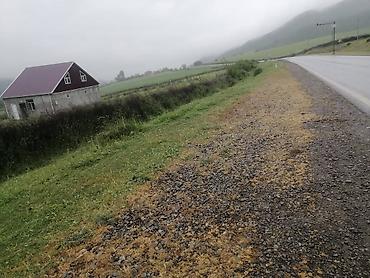 Torpaq sahələrinin satışı: 35 sot, Mülkiyyətçi, Kupça (Çıxarış) — 2