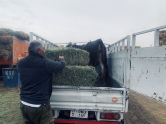 Услуги портера: Заказать Портер — 8