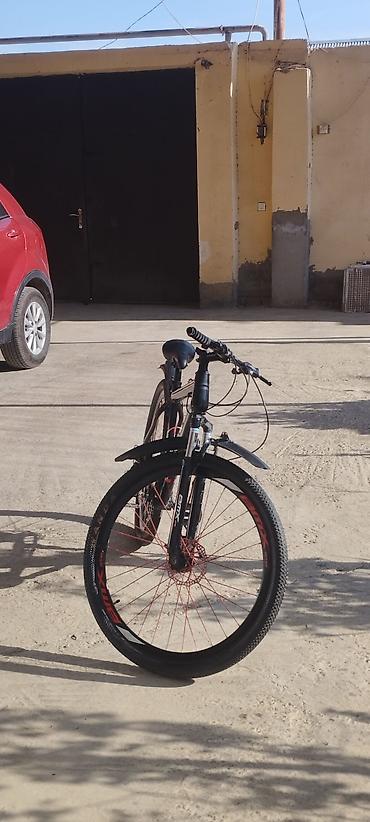 olimpia velosiped: Şəhər və yüngül off-road üçün universal dağ velosipedi. REAL ALICIYA — 2