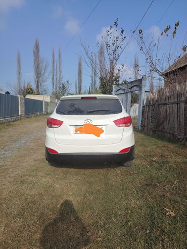 Hyundai: Hyundai ix35, ağ rəngli krossover/SUV. Xarici: - Ağ kuzov, qara alt — 4