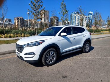 Hyundai: Hyundai Tucson: 2 l | 2017 il Krossover — 2
