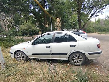 dodge charger: Nissan Almera: 2001 г., 1.8 л, Автомат, Бензин, Седан — 4