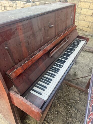 yeni 20 qepik: Piano