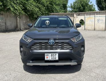 гоьф 3: Toyota RAV4: 2019 г., 2.5 л, Автомат, Гибрид, Кроссовер