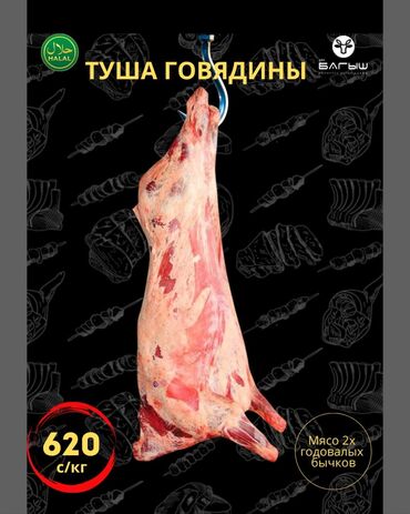 мясо цена за кг бишкек: Говядина : До 1 кг, 1 кг, 2 кг, Самовывоз, Бесплатная доставка, Платная доставка