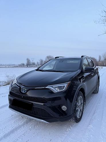 Toyota: Toyota RAV4: 2016 г., 2.5 л, Гибрид, Внедорожник at lalafo.kg — 1 Toyota: Toyota RAV4: 2016 г., 2.5 л, Гибрид, Внедорожник — 1