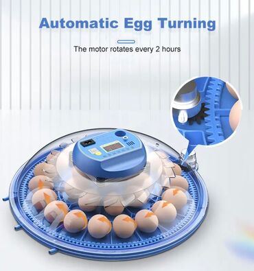 Oprema za kućne ljubimce: INKUBATOR Automatski nove generacije za 26 jaja 12v/220v — 6