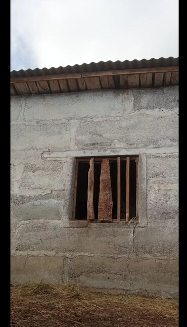 Сельхоз предприятия: Продаётся кашара Иссык-Кульский район село Ананьево. Общая территория at lalafo.kg — 9 Сельхоз предприятия: Продаётся кашара Иссык-Кульский район село Ананьево. Общая территория — 9