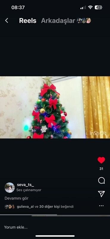 Süni güllər: Hündürlüyü 210 sm dir.Təptəzə qalıb .Aksesuarları ilə beraber satilir