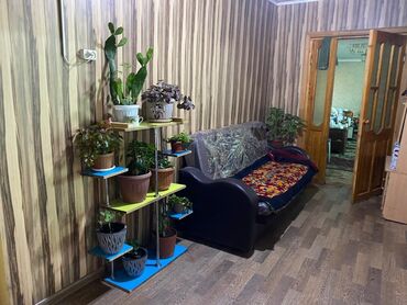 Медицинские услуги: Новый пансион АМАНАТ уход 24/7 круглосуточная внимание 5-разовое — 7