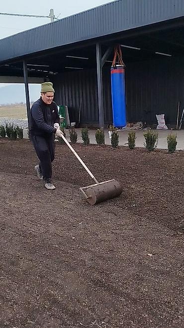 Газон: Сеем газон, Поссев газон, Газон себебиз 🌱 под ключ 🏡по городу бишкек — 26