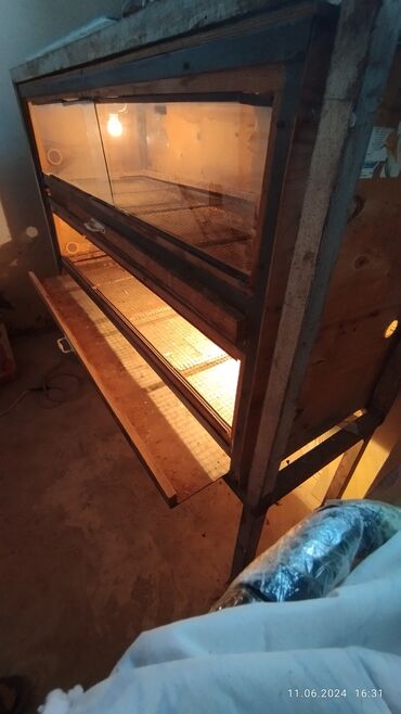 inkubator avadanlıqları: Salam cüce serkası 200 m alınıb yer olmadıgı üçün deyerinen aşagı