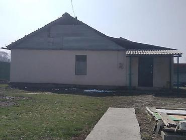 Продажа коттеджей и домов: Продам дом, только звонить здесь не отвечаю. Дом 63кв. участок 5,35 — 9