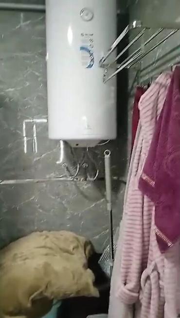 Продажа коттеджей и домов: 1,4 доля.Два дома на участке, один 70 кв. другой 100 . Евросостояние — 13