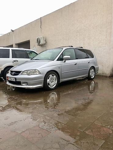 на 203: Honda Odyssey: 2002 г., 3 л, Автомат, Бензин, Минивэн — 3