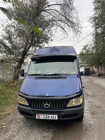 Mercedes-Benz Спринтер: 2005 г., Фургон