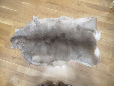 Yun: Təqdim olunan tebii ceyran dərisi əsasən açıq qəhvəyi və boz — 2