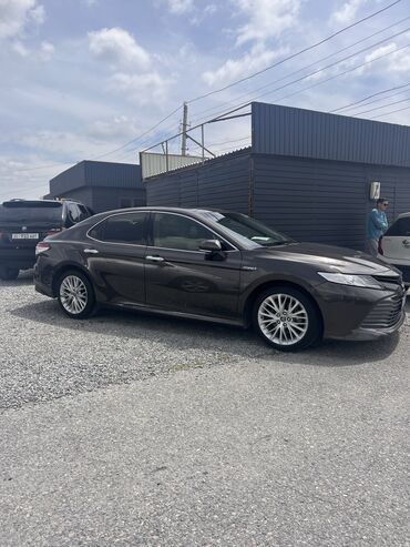 toyota camry 2014: Toyota Camry: 2018 г., 2.5 л, Автомат, Гибрид, Седан