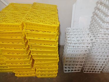 inkubator latok: Inkubator ucun latoklar.avadanliqlar