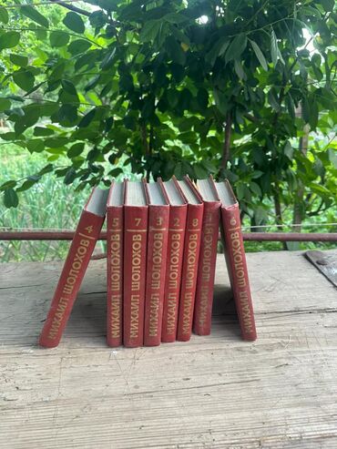 Художественная литература: Классика, На русском языке — 5