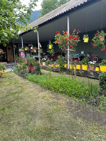 Günlük kirayə evlər: 180 kv. m, 2 otaqlı, Qaz, Su, İnternet -da lalafo.az — 3 Günlük kirayə evlər: 180 kv. m, 2 otaqlı, Qaz, Su, İnternet — 3