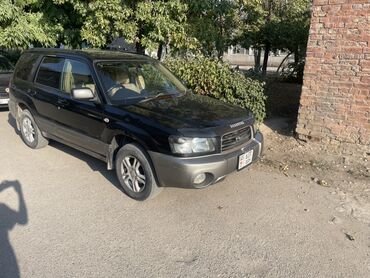 субару форестер 2018: Subaru Forester: 2003 г., Автомат, Бензин, Кроссовер