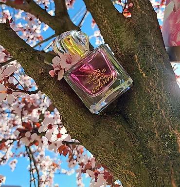 yun corab: AVON Today Tomorrow Always – qadınlar üçün ətir seriyası - Növlər — 6
