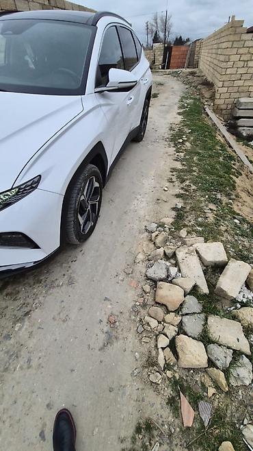 Torpaq sahələrinin satışı: 2 sot, Kupça (Çıxarış) — 7