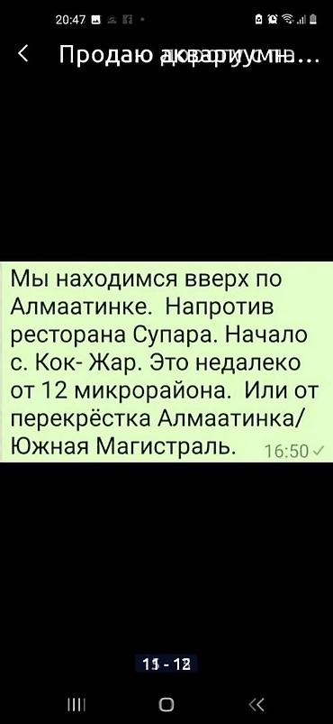 ким чи: Домашнее копчёное сало и солёное сало. копчёное сало 1кг солёное — 8