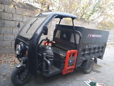 go park: Грузовой трицикл «Летучий Конь» (бренд Motor) с опрокидывающимся — 2