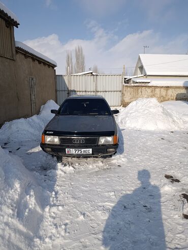 Audi: Audi 100: 1988 г., 2.3 л, Механика, Бензин, Седан — 6