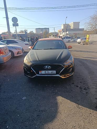 hyundai sonata 2014: Hyundai Sonata: 2019 г., 2 л, Автомат, Газ, Седан — 2