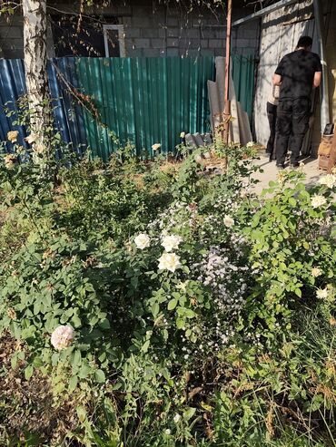 Продажа домов: Дача, 32 м², 2 комнаты, Собственник — 11