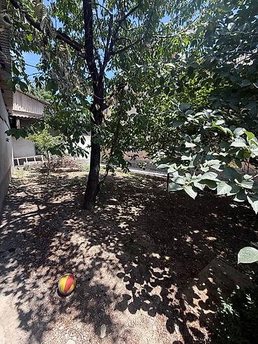 Продажа коттеджей и домов: 5 и более комнат, 143 м², 5 соток, Ош, Собственник — 6