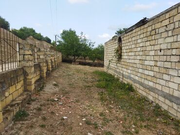 Torpaq sahələrinin satışı: 24 sot, Kənd təsərrüfatı, Kupça (Çıxarış) — 7