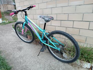 Dečiji bicikli: Dečiji bicikl Booster Turbo 24 plavo-roze Decija Bicikla Booster — 7