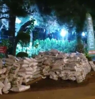 Toxumlar: Torflarin satişi balaken ekolay kkokavit 250litrlik xaricden gelen — 9