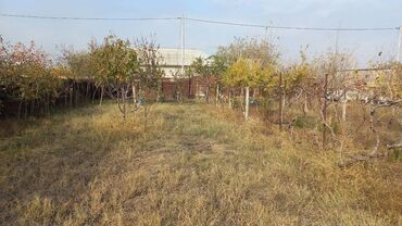 Torpaq sahələrinin satışı: 6 sot, Maklerlər narahat etməsin, Kupça (Çıxarış) — 3