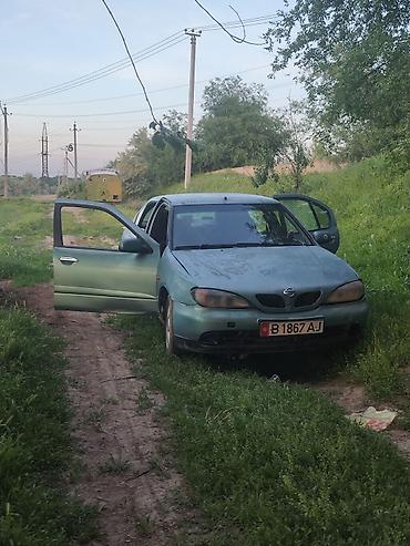 baw x5: Nissan Almera: 2001 г., 2 л, Автомат, Бензин, Седан — 1