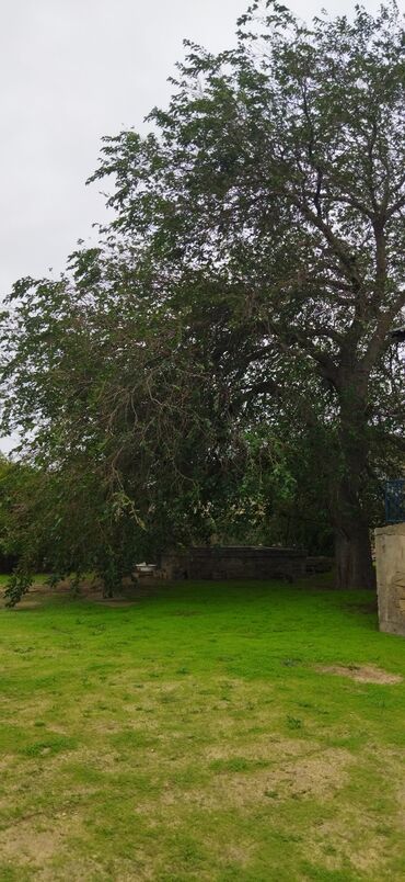 Həyət evləri və villaların satışı: 3 otaqlı, 70 kv. m, Kredit yoxdur, Təmirsiz -da lalafo.az — 5 Həyət evləri və villaların satışı: 3 otaqlı, 70 kv. m, Kredit yoxdur, Təmirsiz — 5